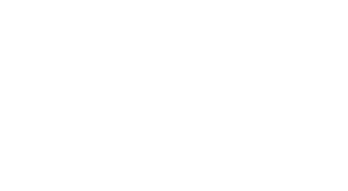 Light 1 – Animal Karma
