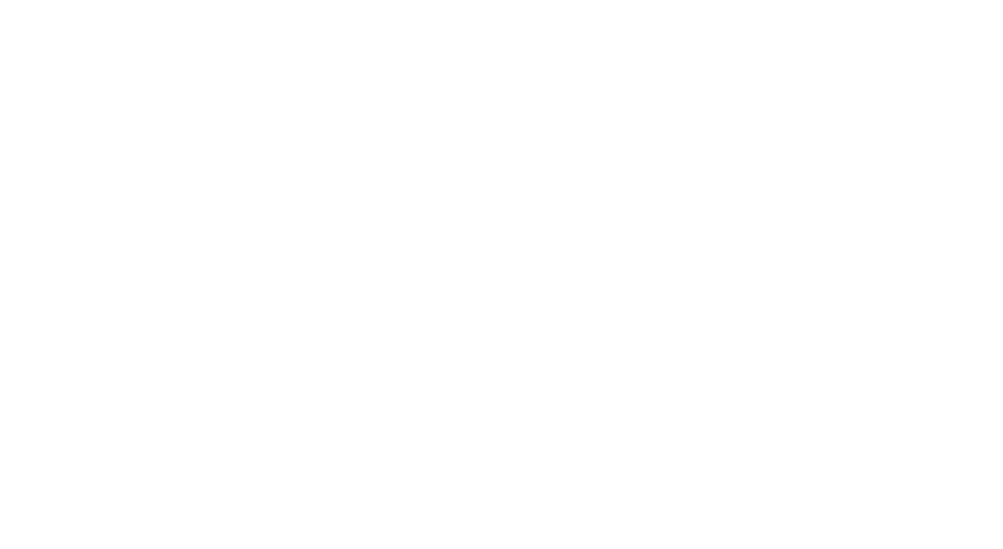 Light 9 – Toro Muerto