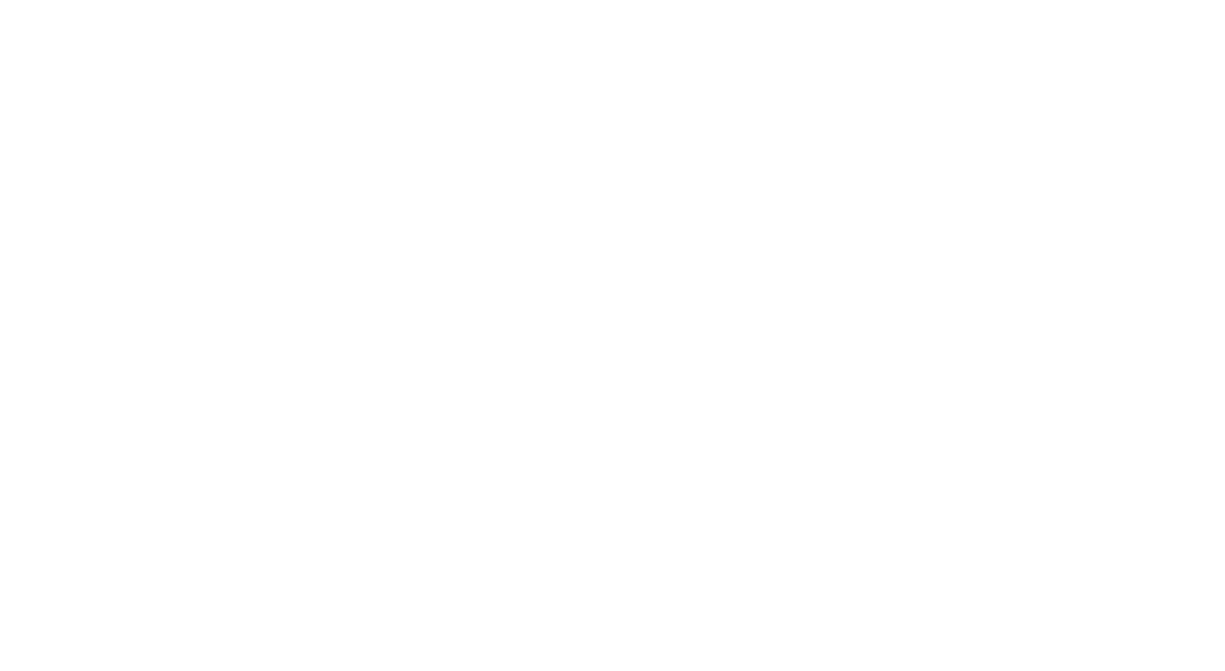 Light 17 – Traspatio Mayo